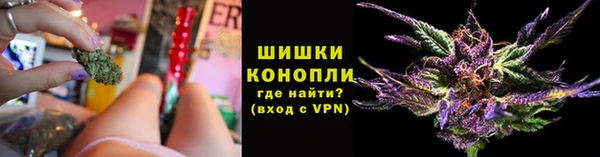 твердый Богородск