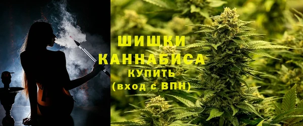 твердый Богородск